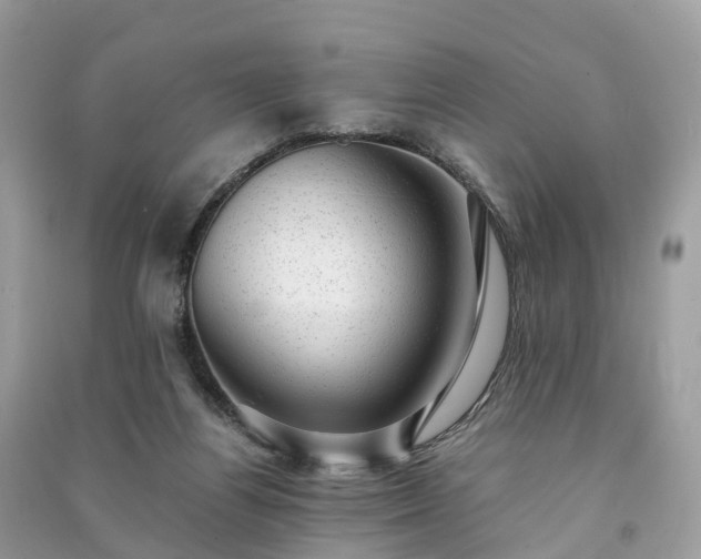 X0000091010164200708091609