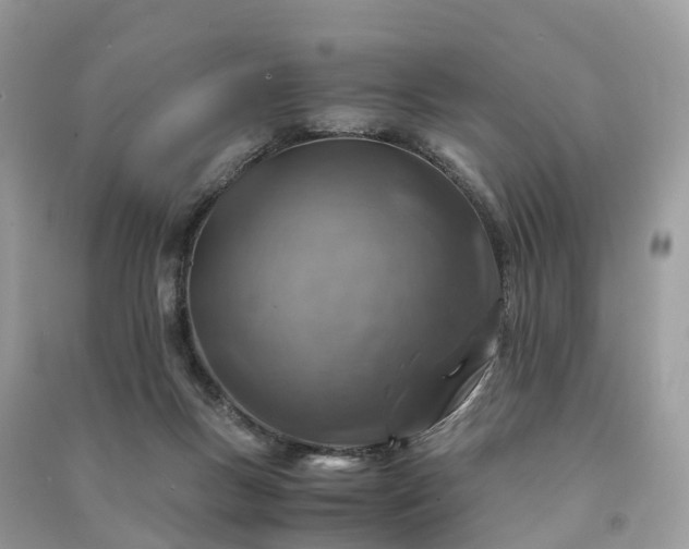 X0000091010167200708091609