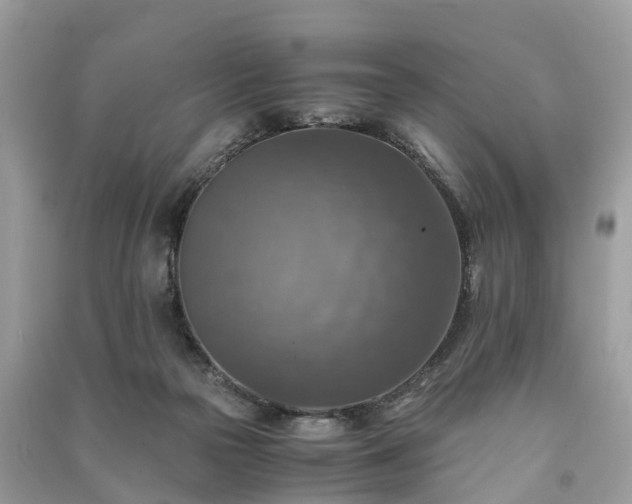 X0000091010169200708091609