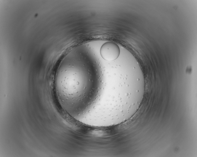 X0000091010171200708091609