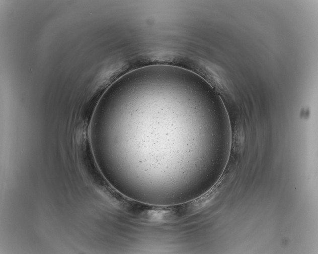 X0000091010172200708091609