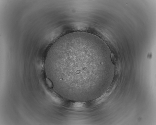 X0000091010176200708091609