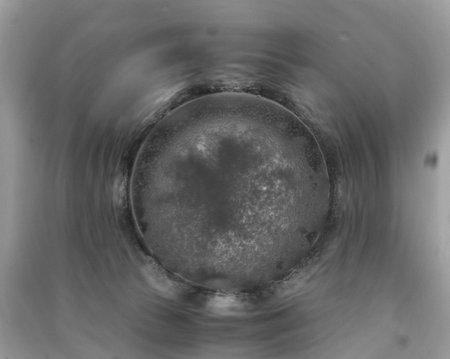 X0000091010177200708091609