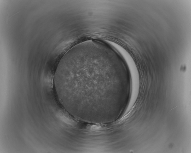 X0000091010180200708091609