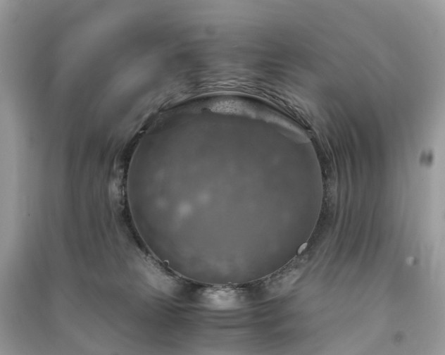 X0000091010181200708091609