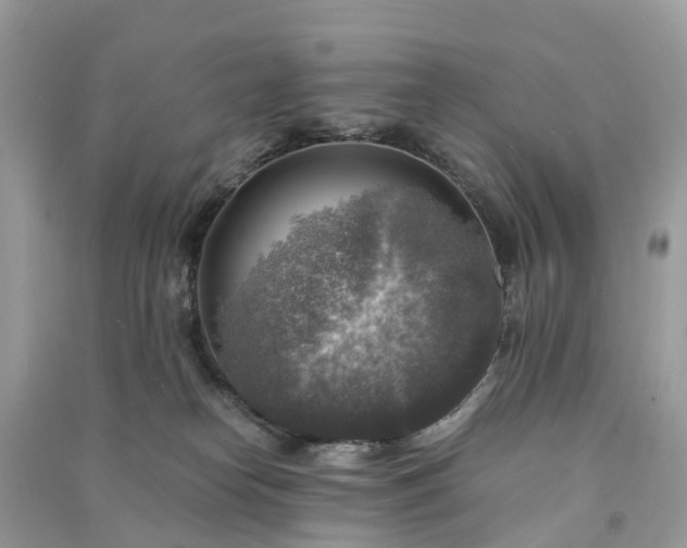 X0000091010182200708091609