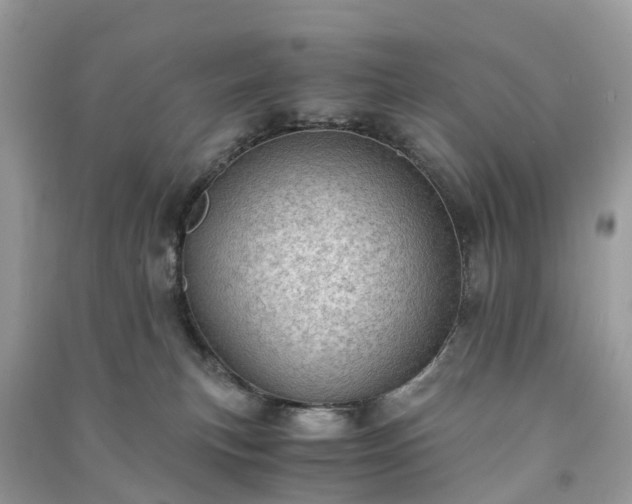 X0000091010183200708091609