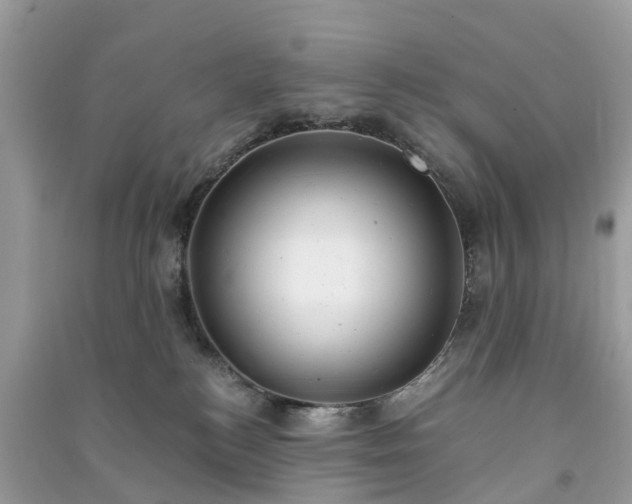 X0000091010184200708091609