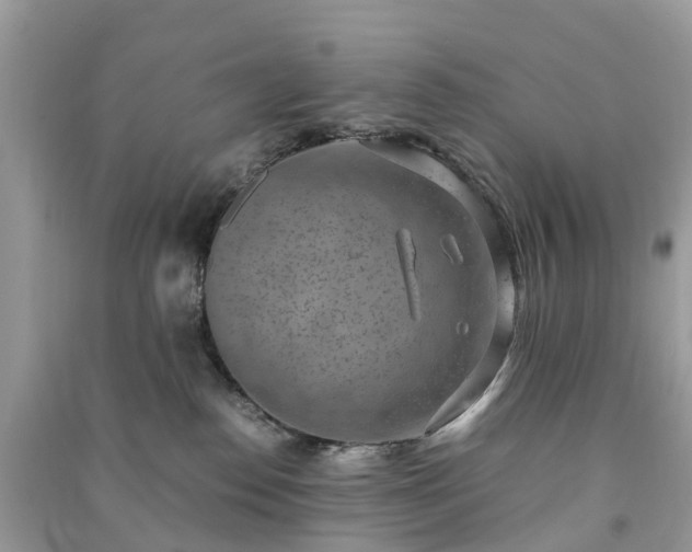 X0000091010186200708091609