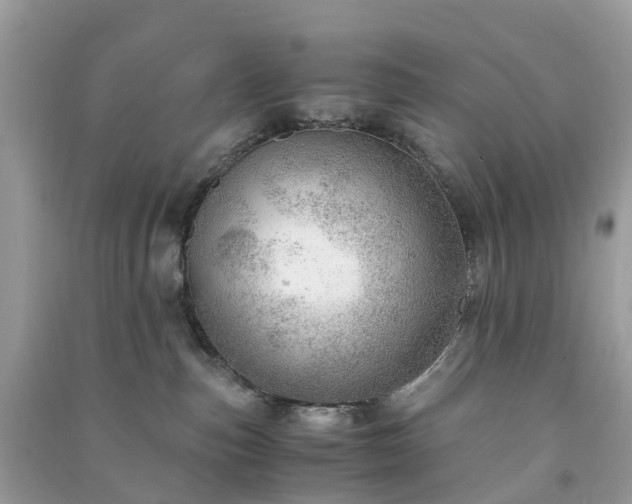 X0000091010187200708091609