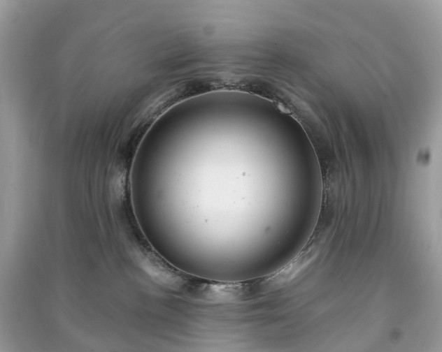 X0000091010188200708091609