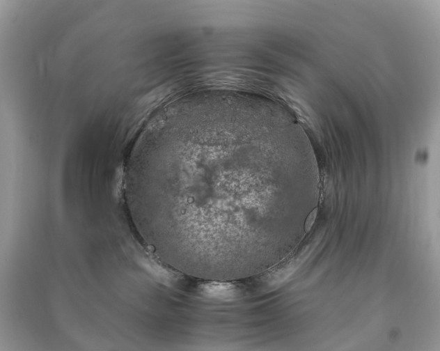 X0000091010189200708091609