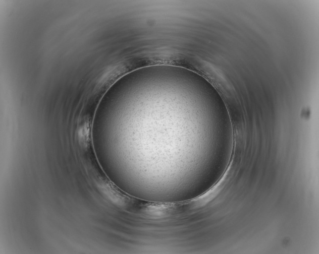 X0000091010190200708091609