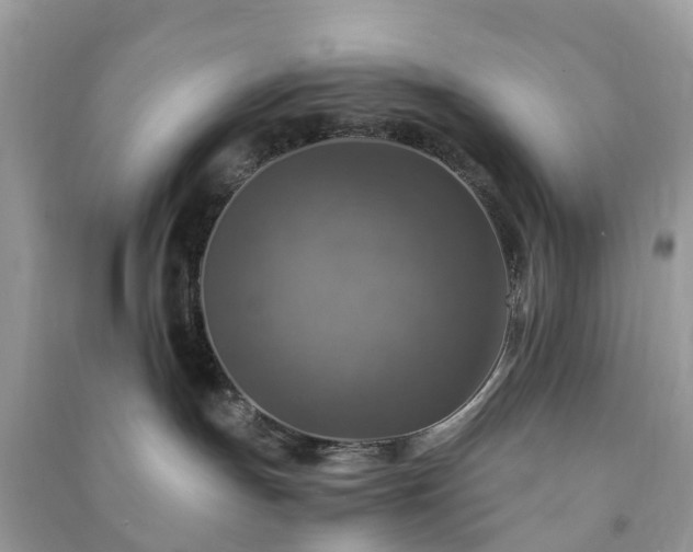 X0000091010191200708091609