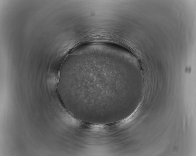 X0000091010192200708091609