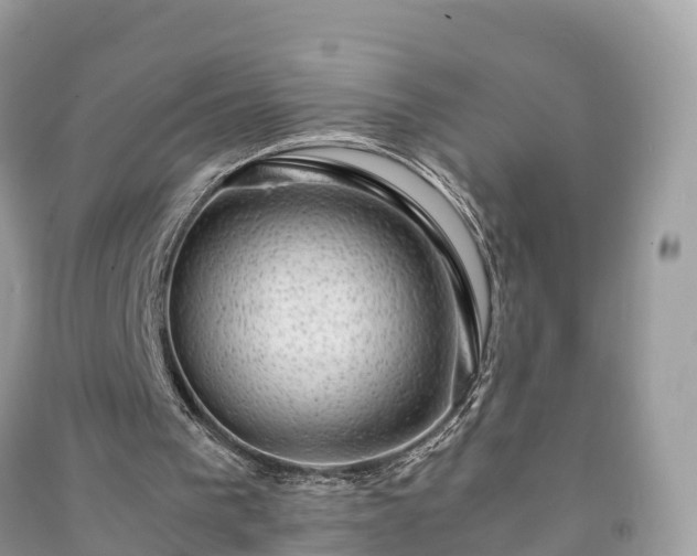 X0000091010193200708091608