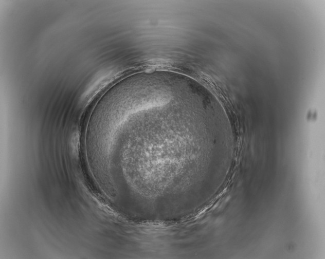 X0000091010194200708091608