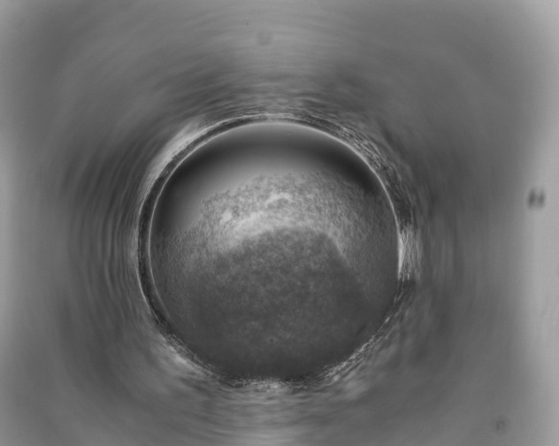 X0000091010195200708091608