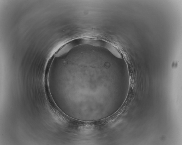 X0000091010196200708091608
