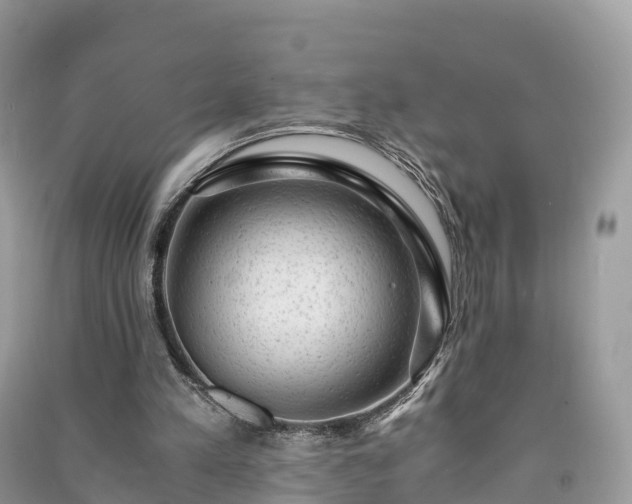 X0000091010197200708091608