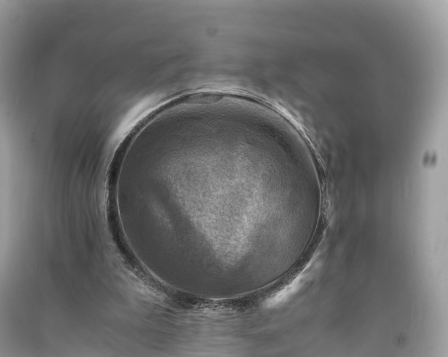 X0000091010199200708091608