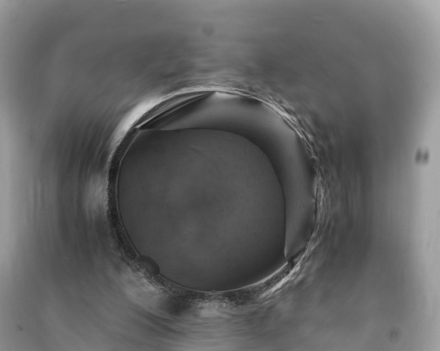 X0000091010200200708091608