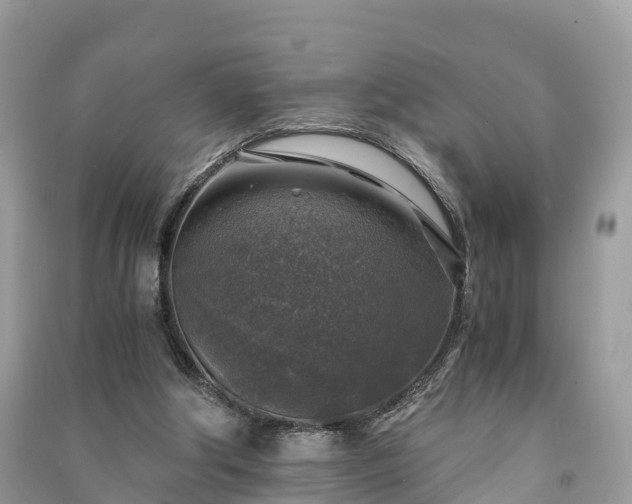 X0000091010202200708091608