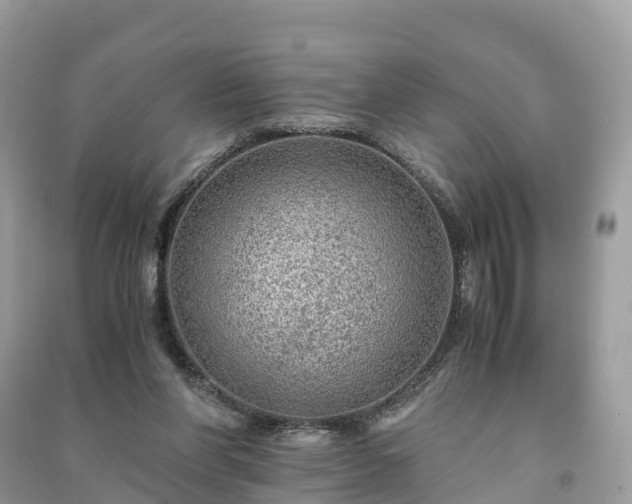 X0000091010206200708091608