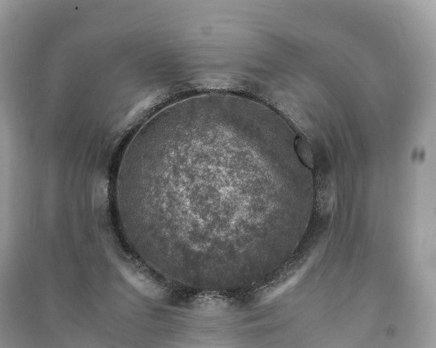 X0000091010207200708091608