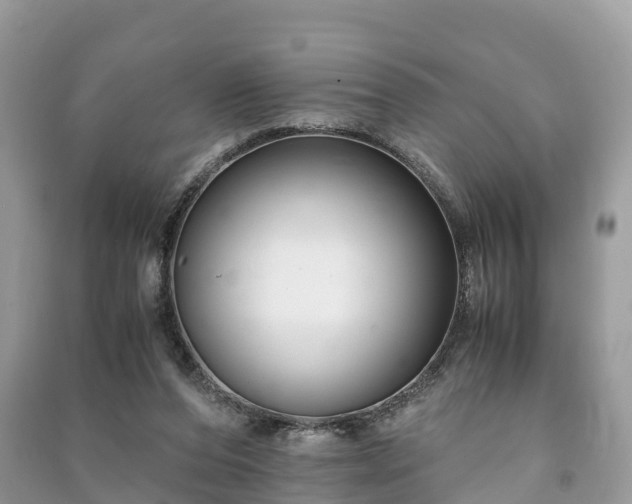 X0000091010208200708091608