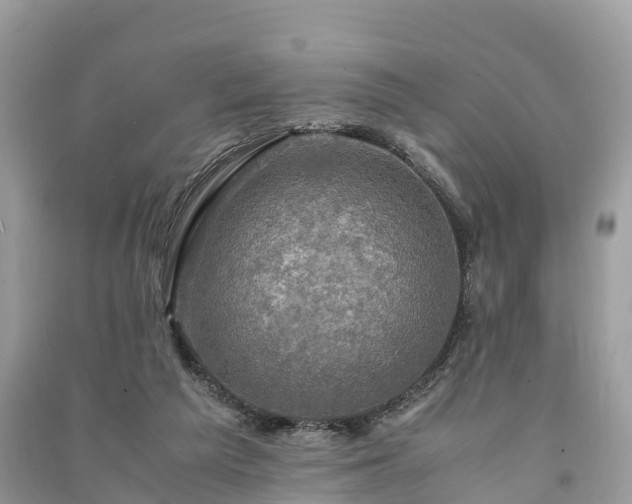 X0000091010209200708091608