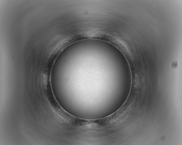 X0000091010210200708091608