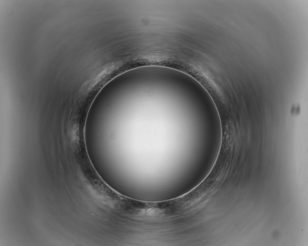 X0000091010212200708091608