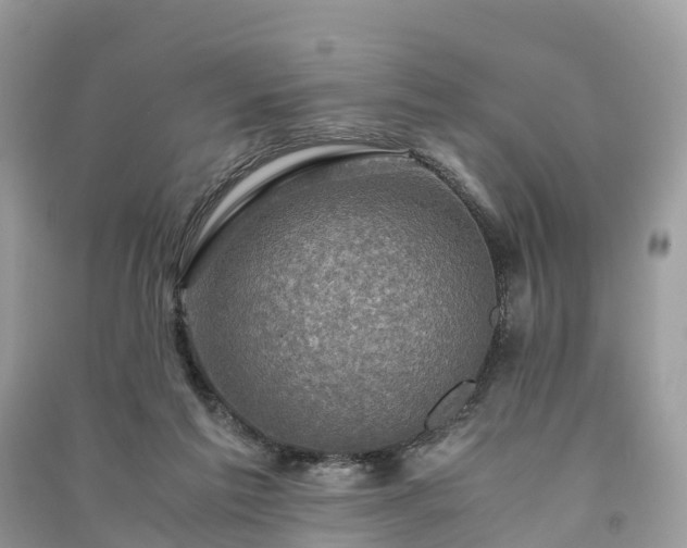 X0000091010213200708091608