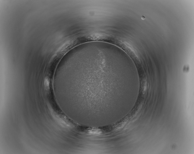 X0000091010214200708091608