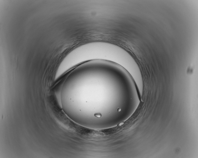 X0000091010215200708091608