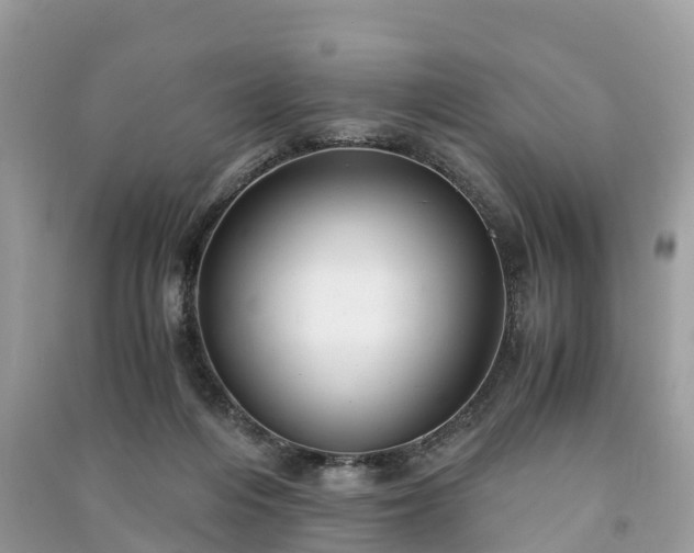 X0000091010216200708091608