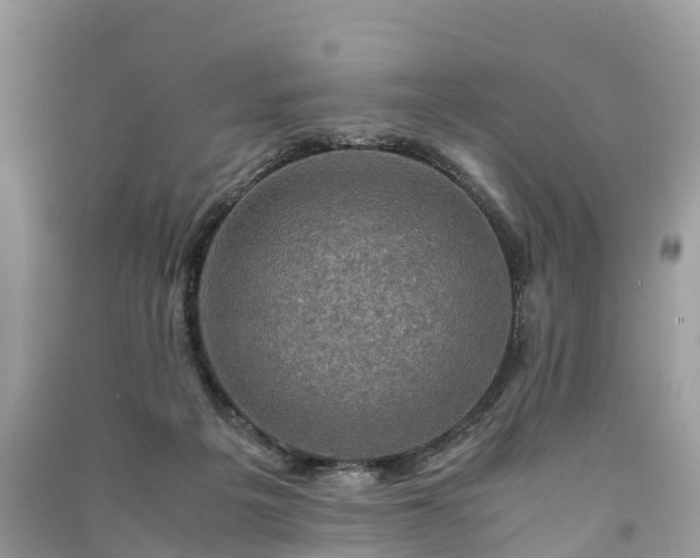 X0000091010217200708091608