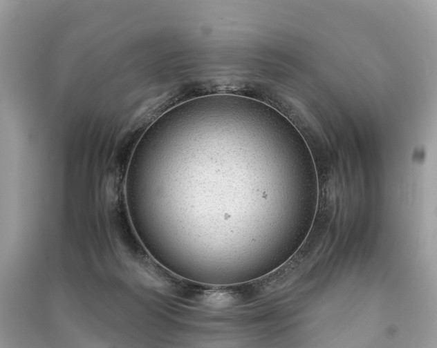 X0000091010218200708091608