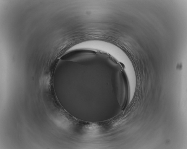 X0000091010219200708091608