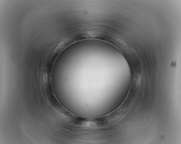 X0000091010220200708091608