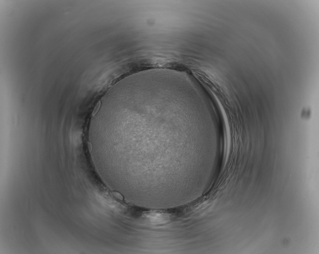 X0000091010221200708091608