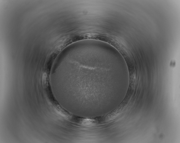 X0000091010222200708091608