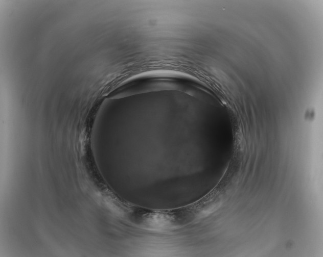 X0000091010223200708091608