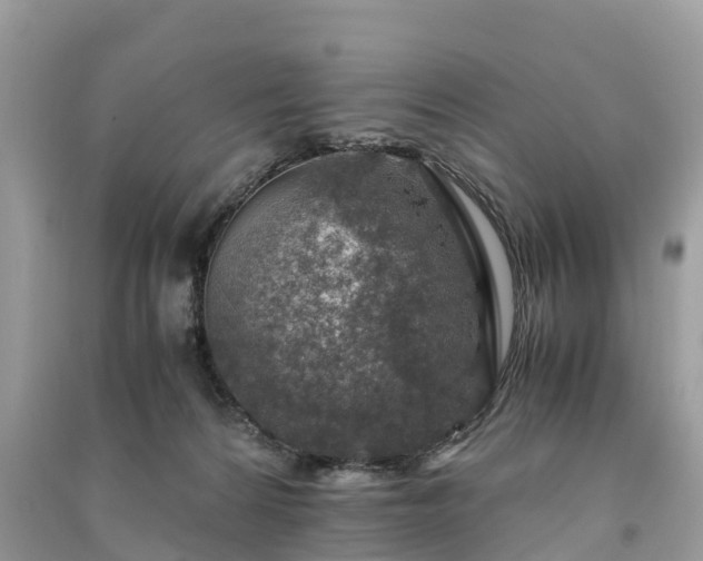 X0000091010224200708091608