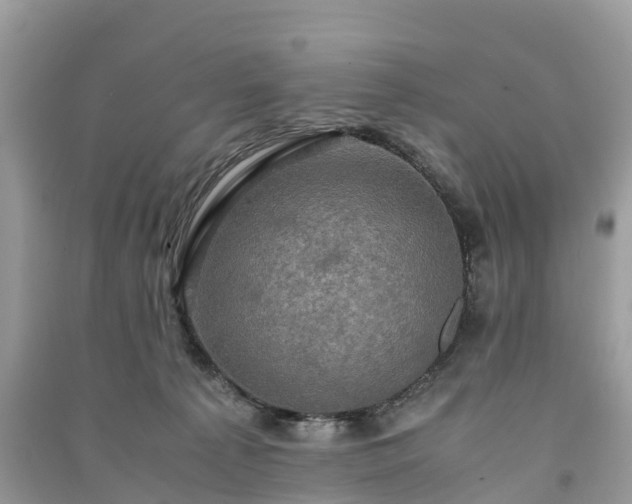 X0000091010225200708091608