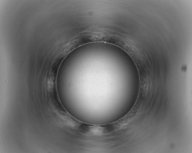 X0000091010226200708091608
