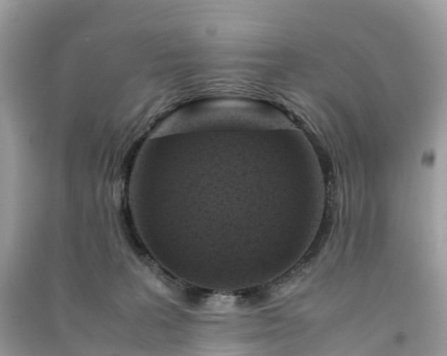 X0000091010227200708091608