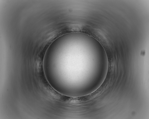 X0000091010228200708091608