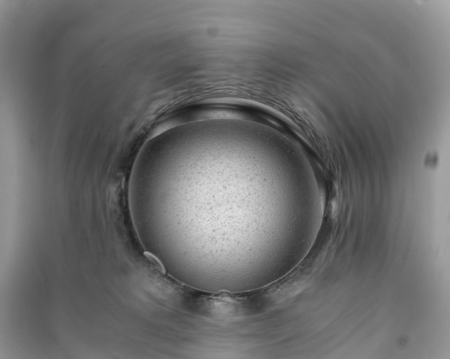 X0000091010229200708091608